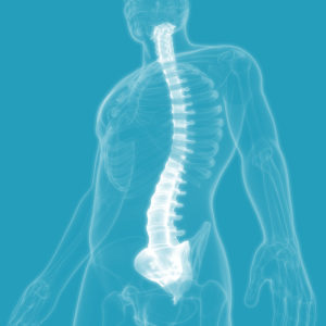 What Causes Spine and Back Injury?