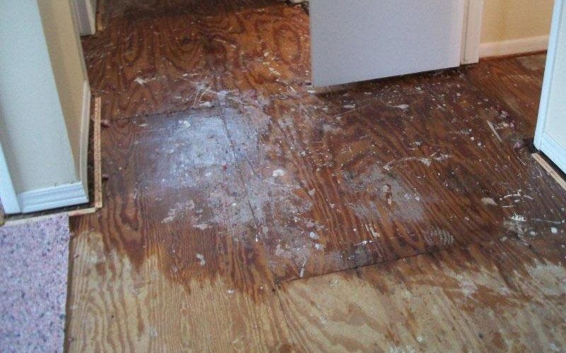 How to Prevent Water Damage to Wood Floors